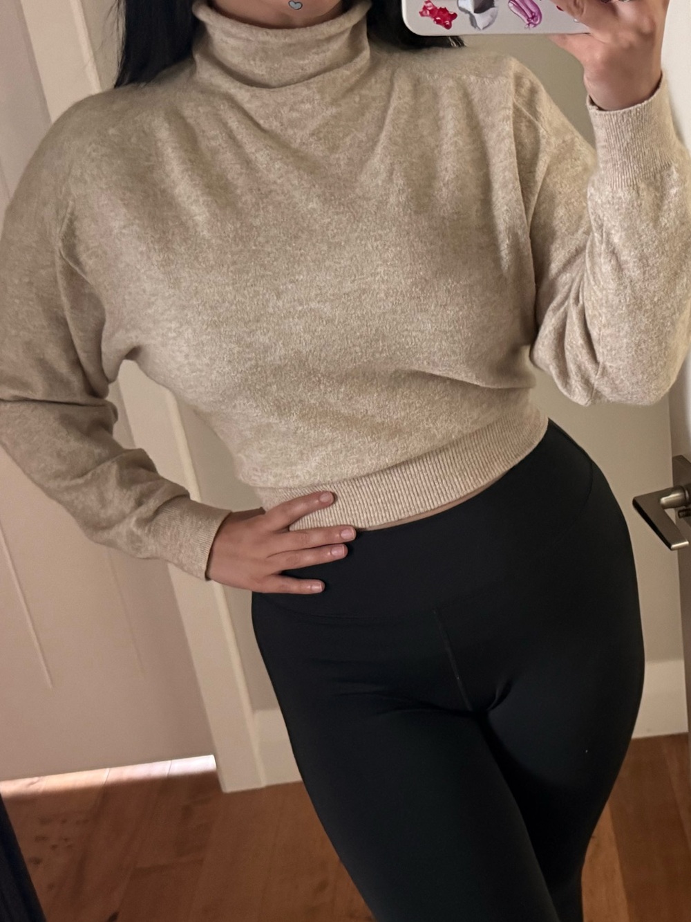 Aritzia Tan Tie-Waist Turtleneck Sweater
